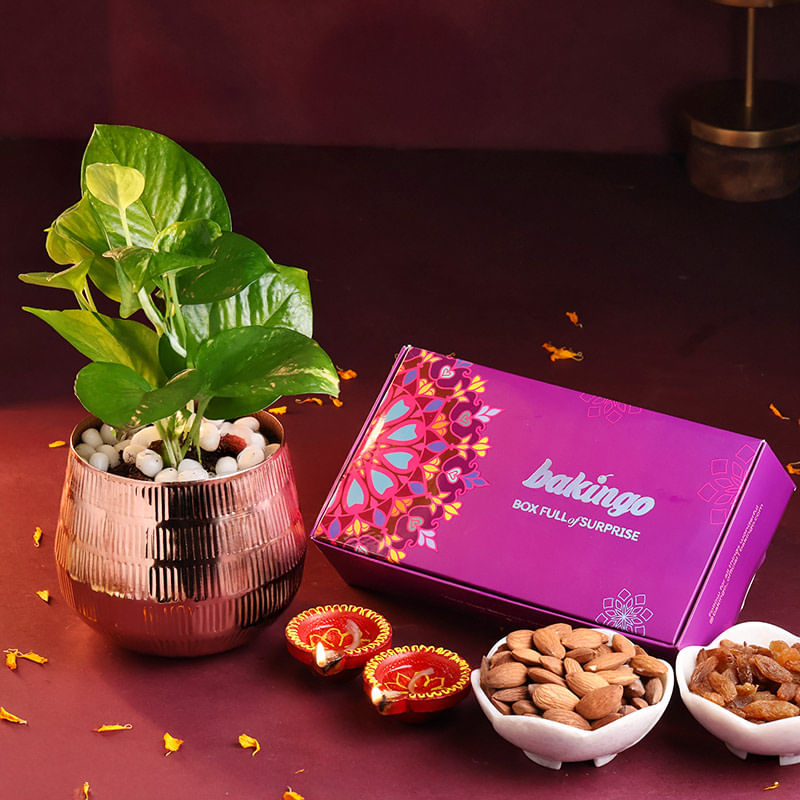 Money Plant With Dry Fruits N Diyas