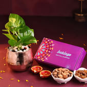 Money Plant With Dry Fruits N Diyas