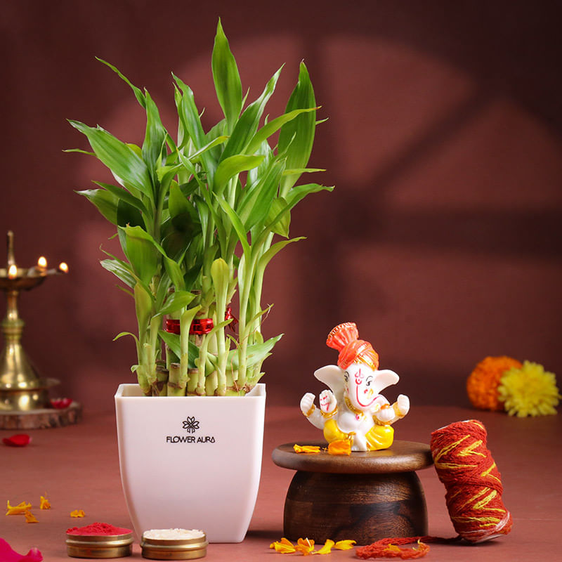 Bamboo Plant With Ganesha Idol