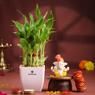 Bamboo Plant With Ganesha Idol