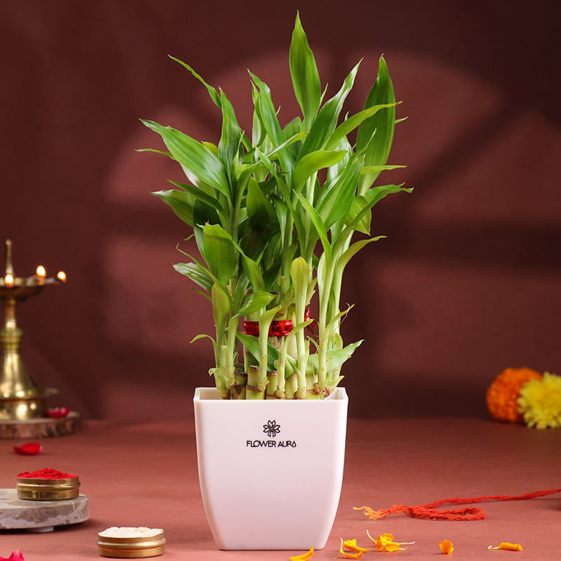 Product Image Video