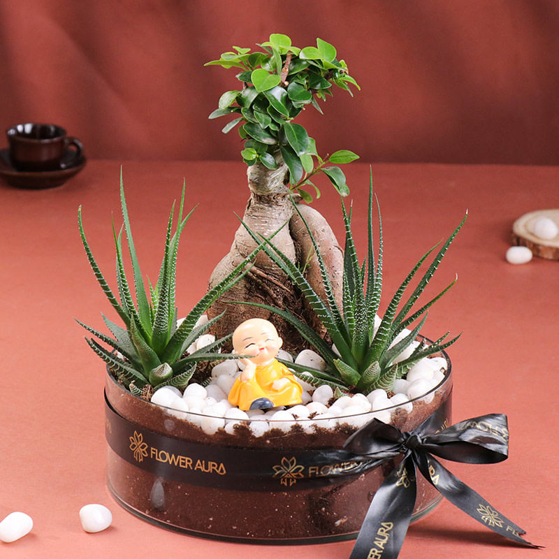 Bonsai N Haworthia Plants With Monk Figurine