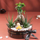 Bonsai N Haworthia Plants With Monk Figurine
