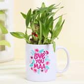 Lucky Bamboo For Loving Mom