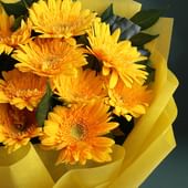 Sunshine yellow gerberas Bouquet