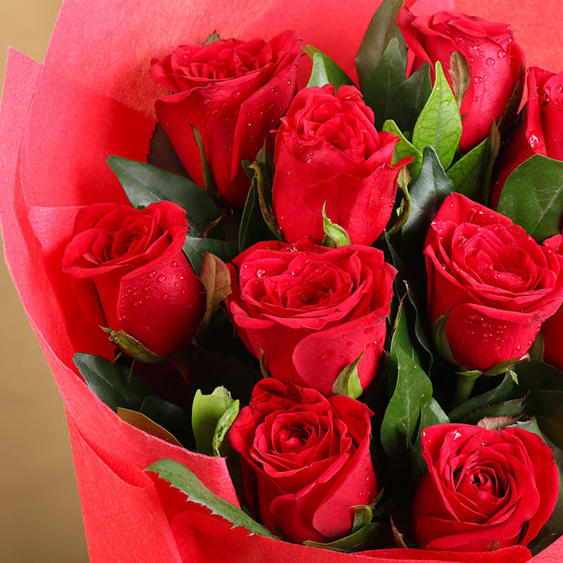 Bunch of 10 Red Roses Bouquet
