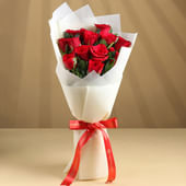 Blaze Red Velvet Roses