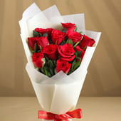 Blaze Red Velvet Roses