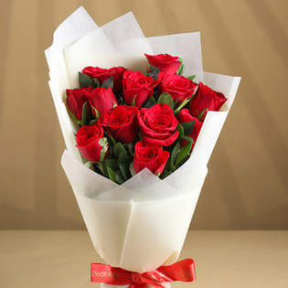 Blaze Red Velvet Roses