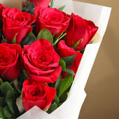 Blaze Red Velvet Roses