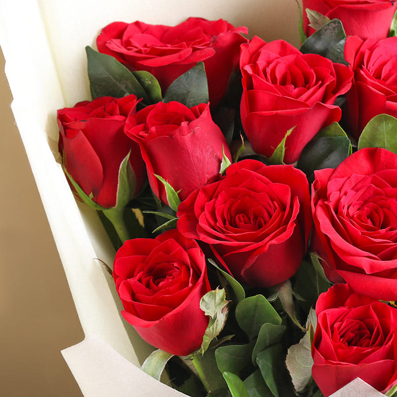 Blaze Red Velvet Roses