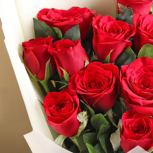 Blaze Red Velvet Roses