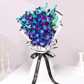 Starlights In Orchids Garden