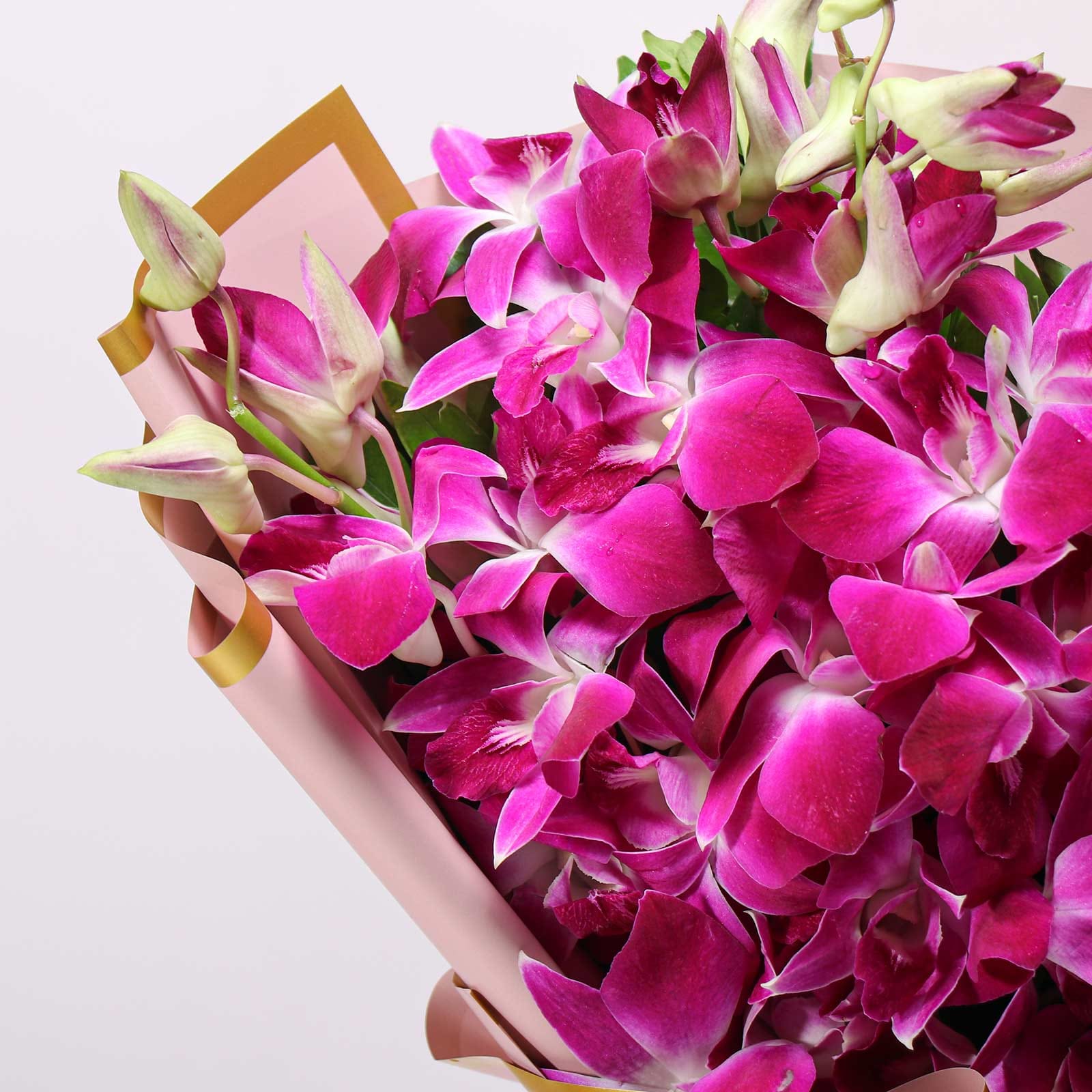 A Luxury Tale in Orchids
