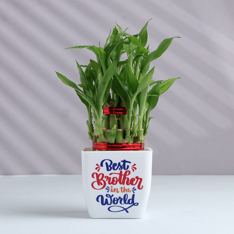 Product Image Video