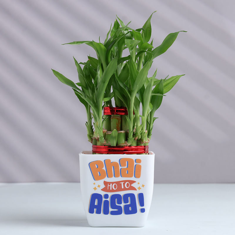 Product Image Video
