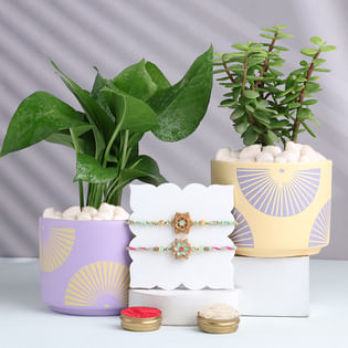 Geometric Floral Rakhi Duo With Money N Jade Plant