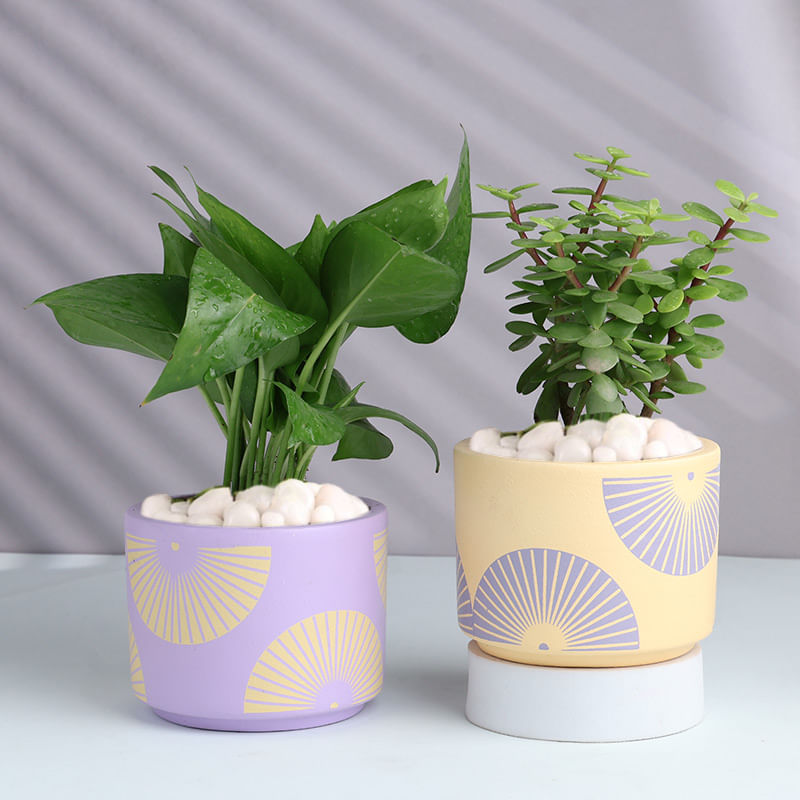 Product Image Video