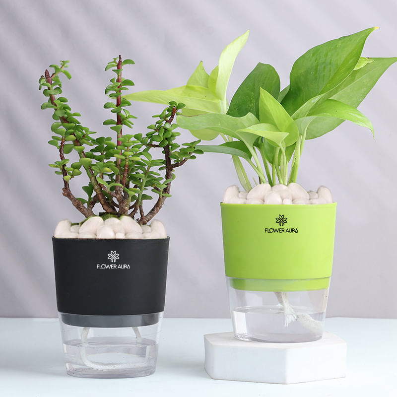 Product Image Video
