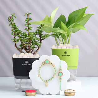 Green Bhai Bhabhi Rakhis With Jade N Money Plant