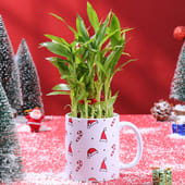 Bamboo Plant in Christmas Ceramic Mug