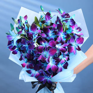 A Drift Of Moonlight Orchids