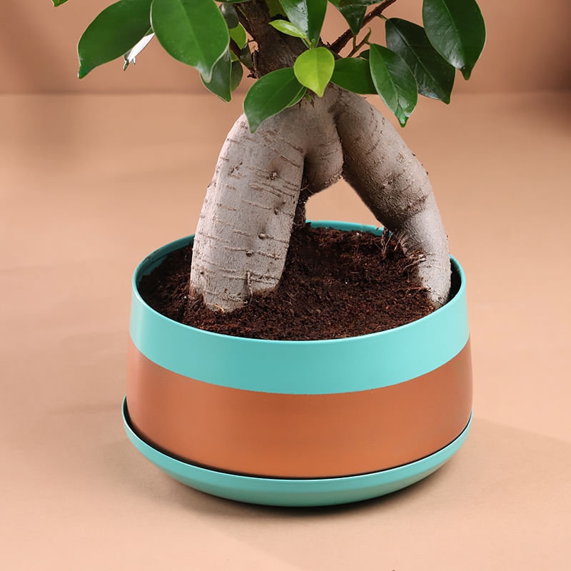 Product Image Video
