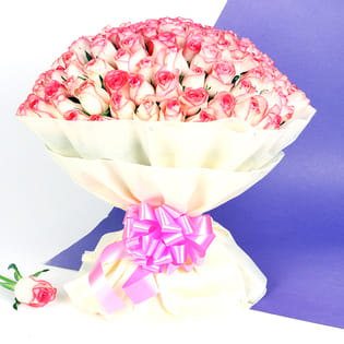 A 365 Pink Roses Bunch in Front View