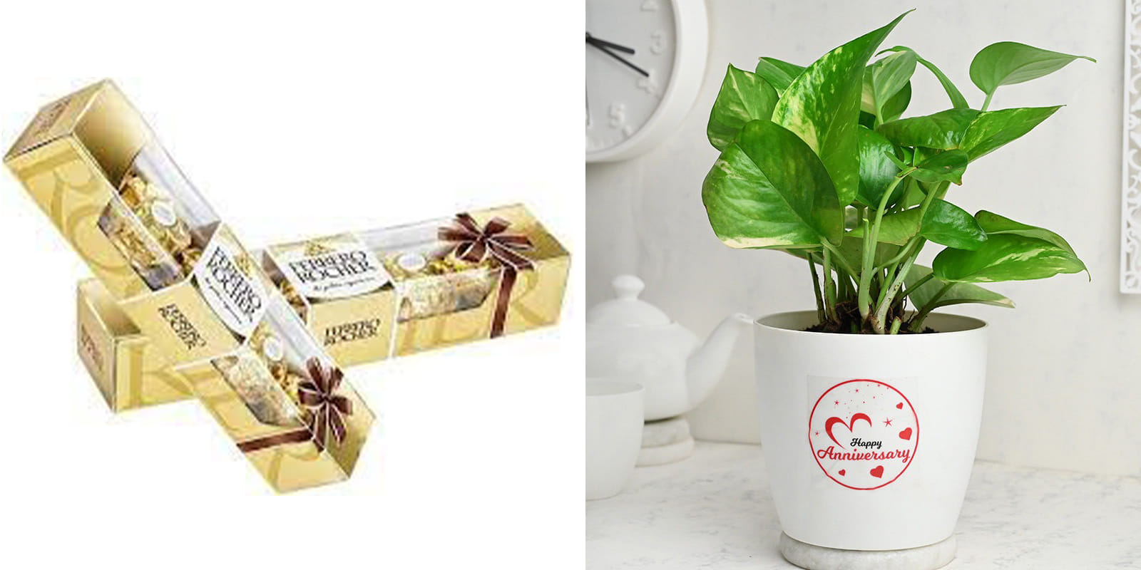 Fenesta Plant Combo Product 