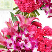 30 Pink Carnations and 20 Orchids with Zoomed View