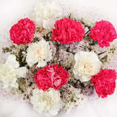 10 Pink and White Carnations with Top View