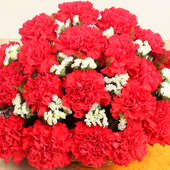 30 Red Carnations in Zoomed View