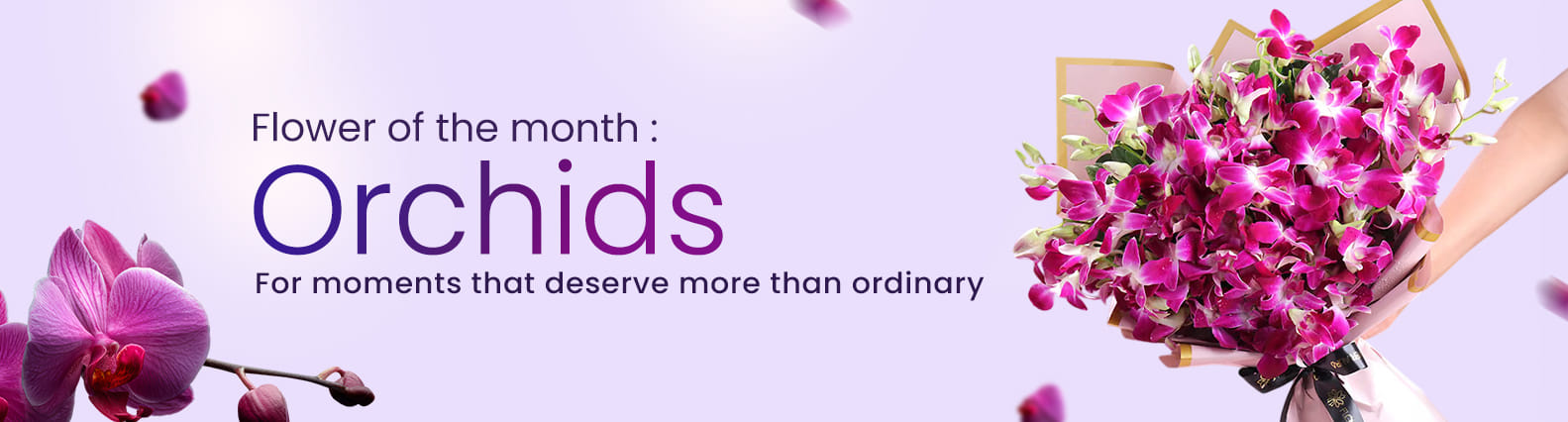 Flower of the month: Orchids