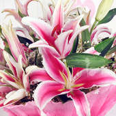 Arrangement of 6 beautiful pink Oriental Lilies with Zoomed View