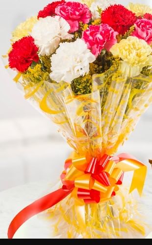 10 mix carnations