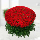 1000 red roses bunch