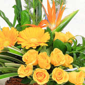 Orange and Yellow Blooms in Basket in Zoomed View