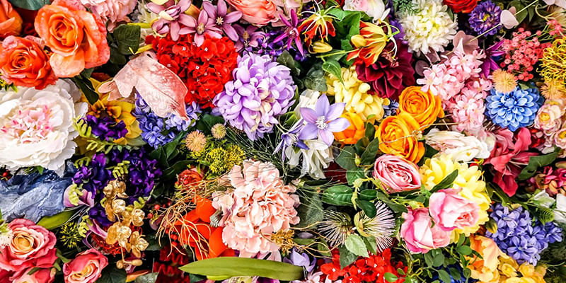 Top Flower Trends of 2025