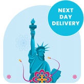 USA Rakhi Delivery