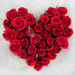 Valentine Heart Shaped Roses