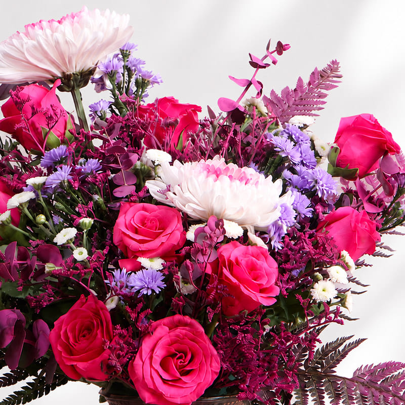 A Ballet Of Blushing Blooms