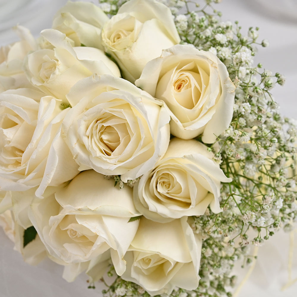 15 White Roses