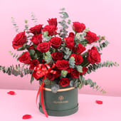 A Garden Of Scarlet Rose Romance