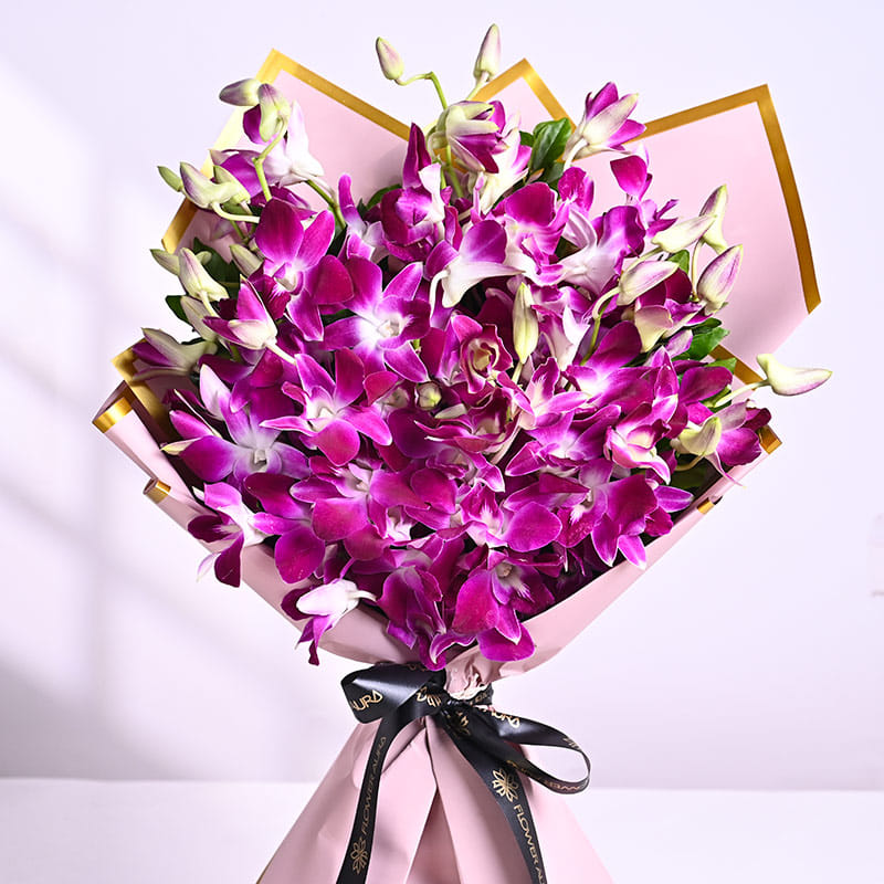 A Gentle Touch Of Orchid Grace