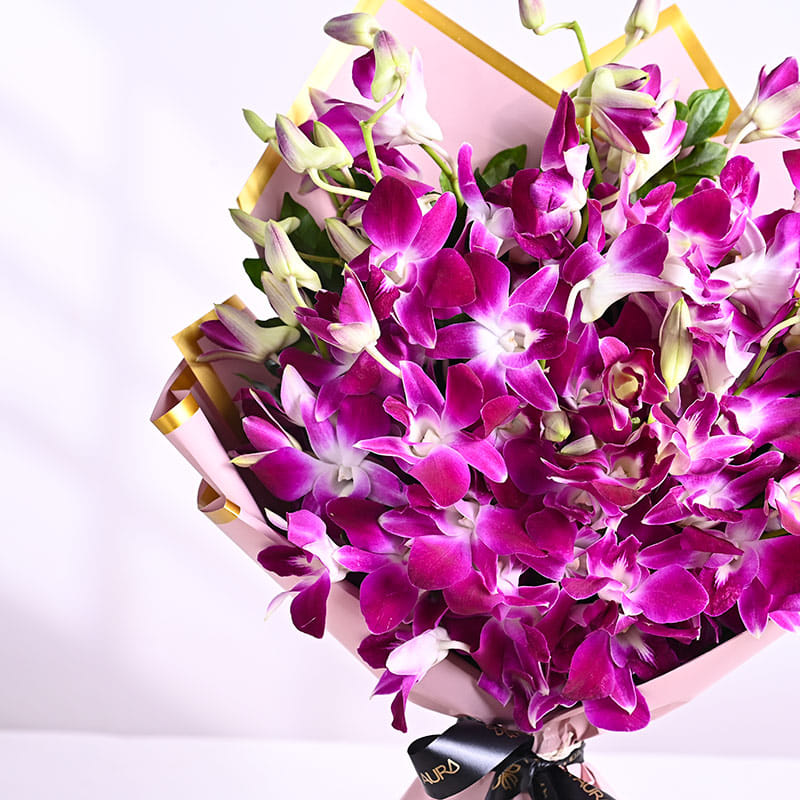 A Gentle Touch Of Orchid Grace
