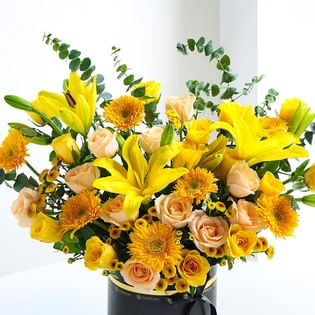 A Golden Hour Of Sunshine Dreams