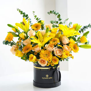 A Golden Hour Of Sunshine Dreams