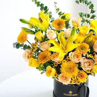 A Golden Hour Of Sunshine Dreams