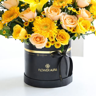 A Golden Hour Of Sunshine Dreams