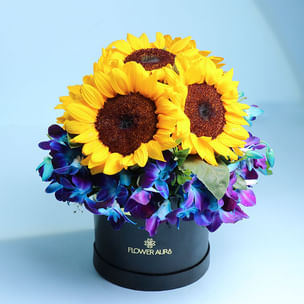 A Medley Of Sunlit N Midnight Blooms